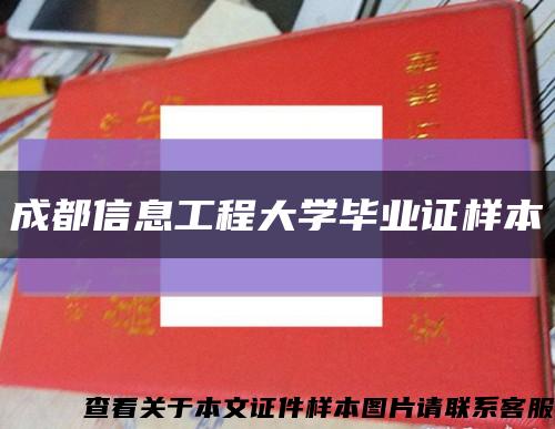 成都信息工程大学毕业证样本缩略图
