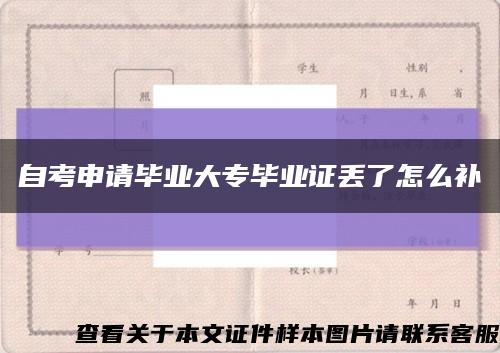 自考申请毕业大专毕业证丢了怎么补缩略图