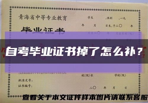 自考毕业证书掉了怎么补？缩略图