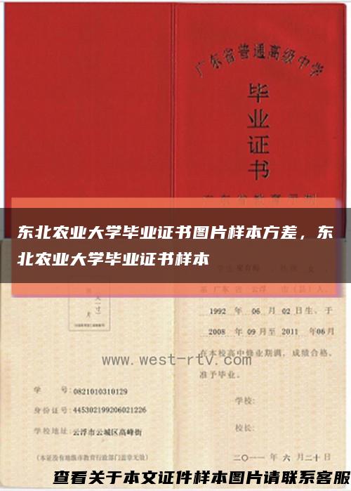 东北农业大学毕业证书图片样本方差，东北农业大学毕业证书样本缩略图