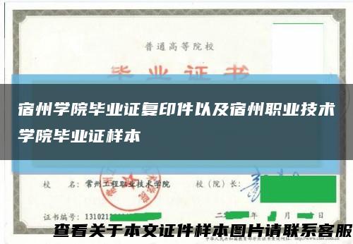 宿州学院毕业证复印件以及宿州职业技术学院毕业证样本缩略图