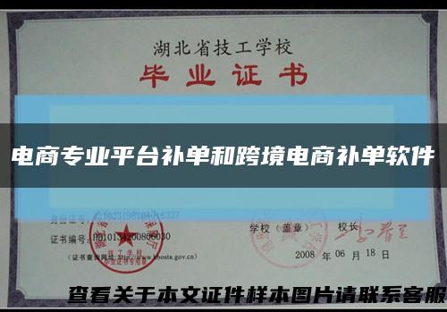 电商专业平台补单和跨境电商补单软件缩略图