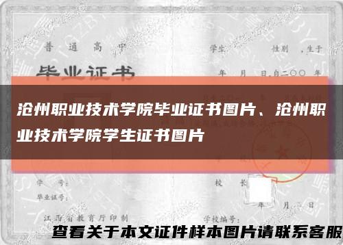 沧州职业技术学院毕业证书图片、沧州职业技术学院学生证书图片缩略图