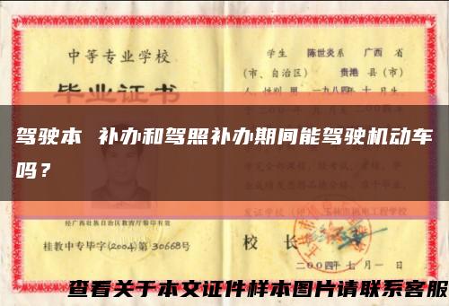 驾驶本 补办和驾照补办期间能驾驶机动车吗？缩略图