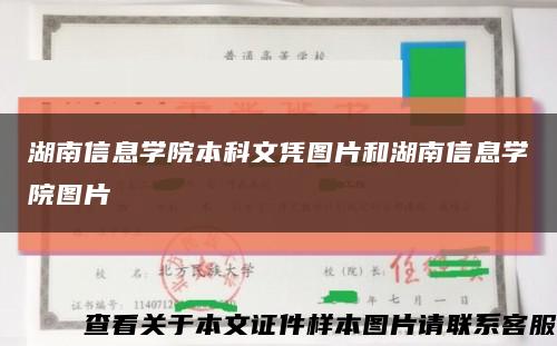 湖南信息学院本科文凭图片和湖南信息学院图片缩略图
