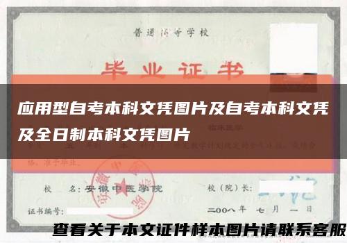 应用型自考本科文凭图片及自考本科文凭及全日制本科文凭图片缩略图