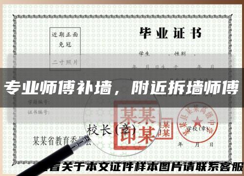 专业师傅补墙，附近拆墙师傅缩略图