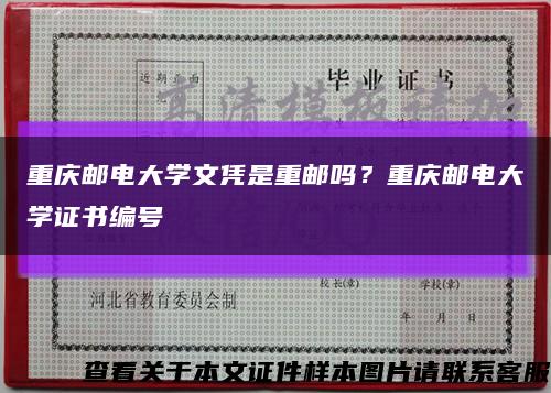 重庆邮电大学文凭是重邮吗？重庆邮电大学证书编号缩略图