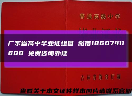 广东省高中毕业证组图 微信18607411608 免费咨询办理缩略图