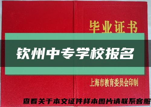 钦州中专学校报名缩略图