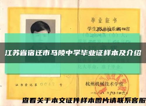 江苏省宿迁市马陵中学毕业证样本及介绍缩略图