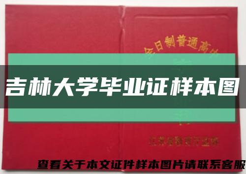 吉林大学毕业证样本图缩略图