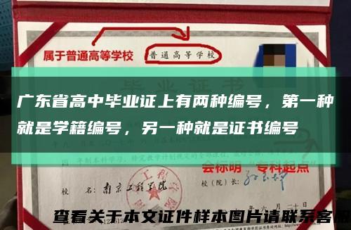 广东省高中毕业证上有两种编号，第一种就是学籍编号，另一种就是证书编号缩略图