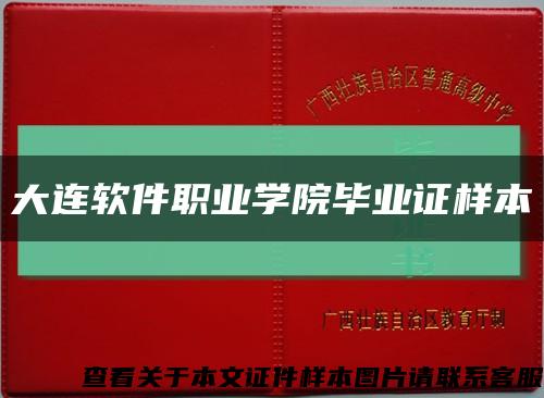 大连软件职业学院毕业证样本缩略图
