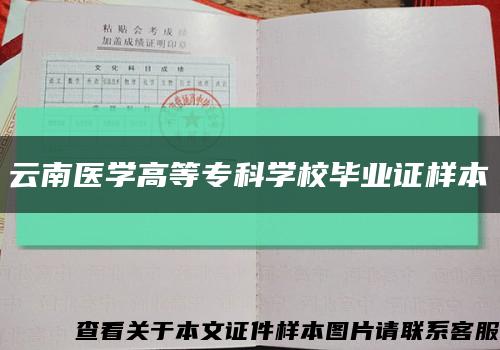 云南医学高等专科学校毕业证样本缩略图