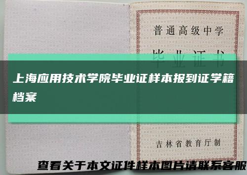 上海应用技术学院毕业证样本报到证学籍档案缩略图