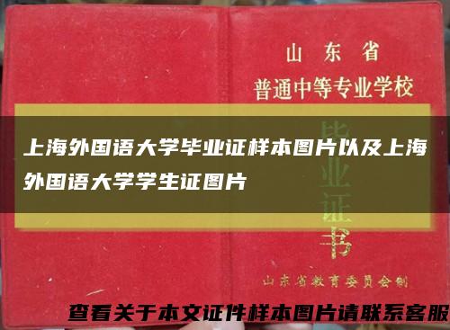 上海外国语大学毕业证样本图片以及上海外国语大学学生证图片缩略图