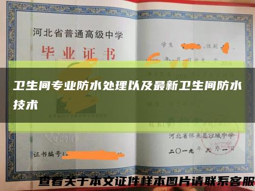 卫生间专业防水处理以及最新卫生间防水技术缩略图