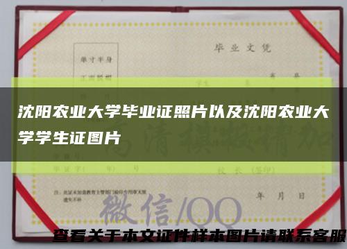 沈阳农业大学毕业证照片以及沈阳农业大学学生证图片缩略图