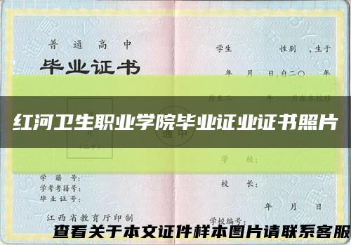 红河卫生职业学院毕业证业证书照片缩略图