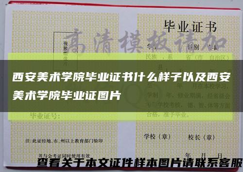 西安美术学院毕业证书什么样子以及西安美术学院毕业证图片缩略图