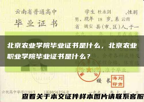 北京农业学院毕业证书是什么，北京农业职业学院毕业证书是什么？缩略图