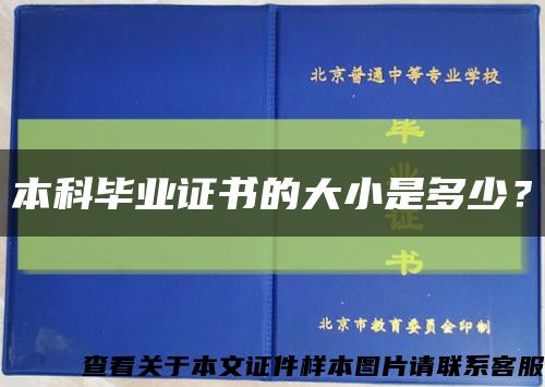 本科毕业证书的大小是多少？缩略图