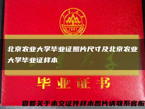 北京农业大学毕业证照片尺寸及北京农业大学毕业证样本缩略图