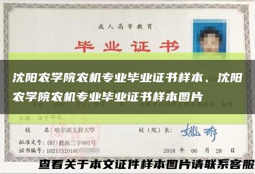 沈阳农学院农机专业毕业证书样本、沈阳农学院农机专业毕业证书样本图片缩略图