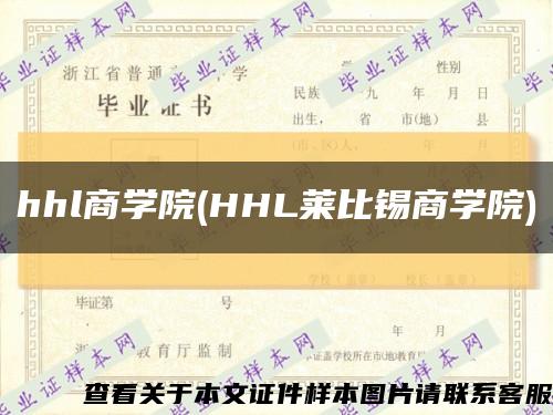hhl商学院(HHL莱比锡商学院)缩略图