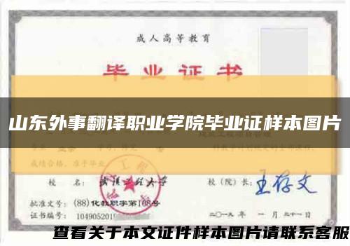 山东外事翻译职业学院毕业证样本图片缩略图