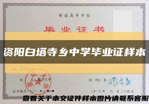 资阳白塔寺乡中学毕业证样本缩略图