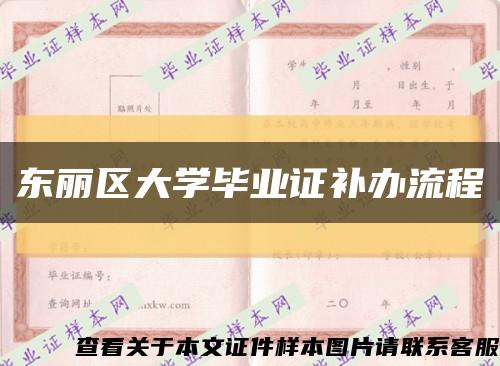 东丽区大学毕业证补办流程缩略图