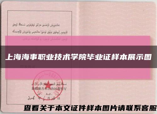 上海海事职业技术学院毕业证样本展示图缩略图