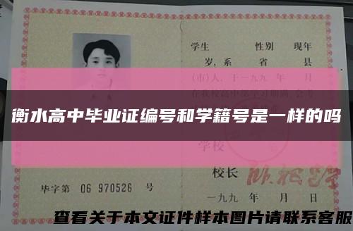 衡水高中毕业证编号和学籍号是一样的吗缩略图