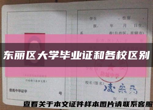 东丽区大学毕业证和各校区别缩略图