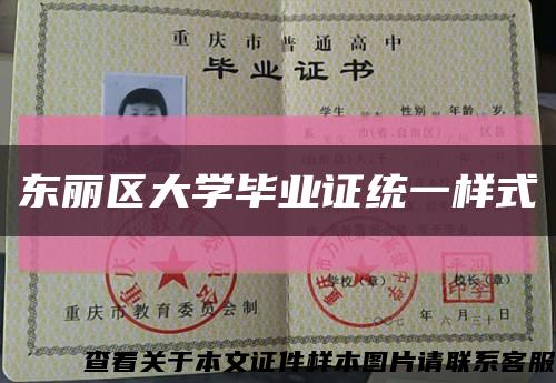 东丽区大学毕业证统一样式缩略图
