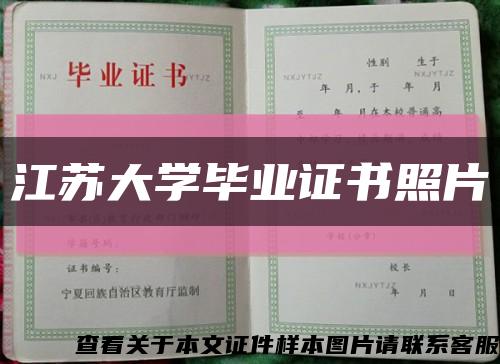 江苏大学毕业证书照片缩略图