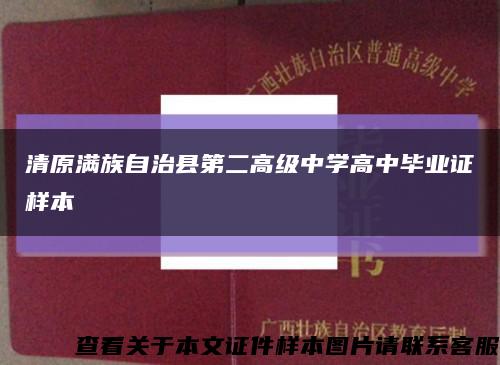 清原满族自治县第二高级中学高中毕业证样本缩略图