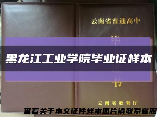 黑龙江工业学院毕业证样本缩略图