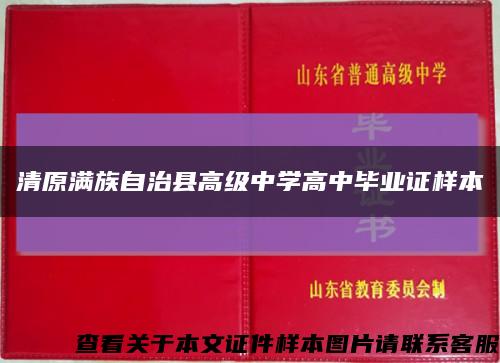 清原满族自治县高级中学高中毕业证样本缩略图
