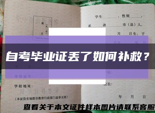 自考毕业证丢了如何补救？缩略图