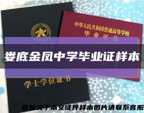 娄底金凤中学毕业证样本缩略图