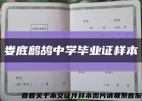 娄底鹧鸪中学毕业证样本缩略图