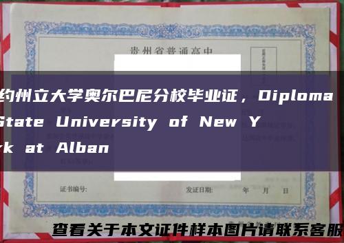 纽约州立大学奥尔巴尼分校毕业证，Diploma of State University of New York at Alban缩略图