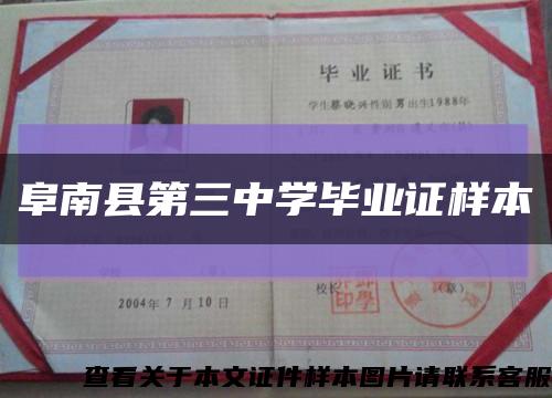 阜南县第三中学毕业证样本缩略图