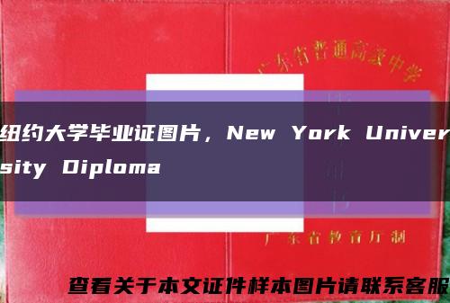 纽约大学毕业证图片，New York University Diploma缩略图
