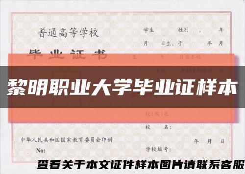 黎明职业大学毕业证样本缩略图