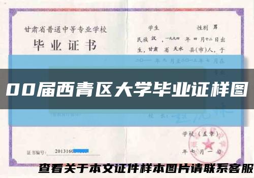 00届西青区大学毕业证样图缩略图
