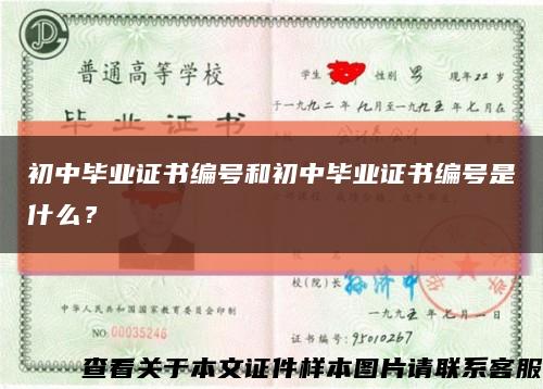 初中毕业证书编号和初中毕业证书编号是什么？缩略图